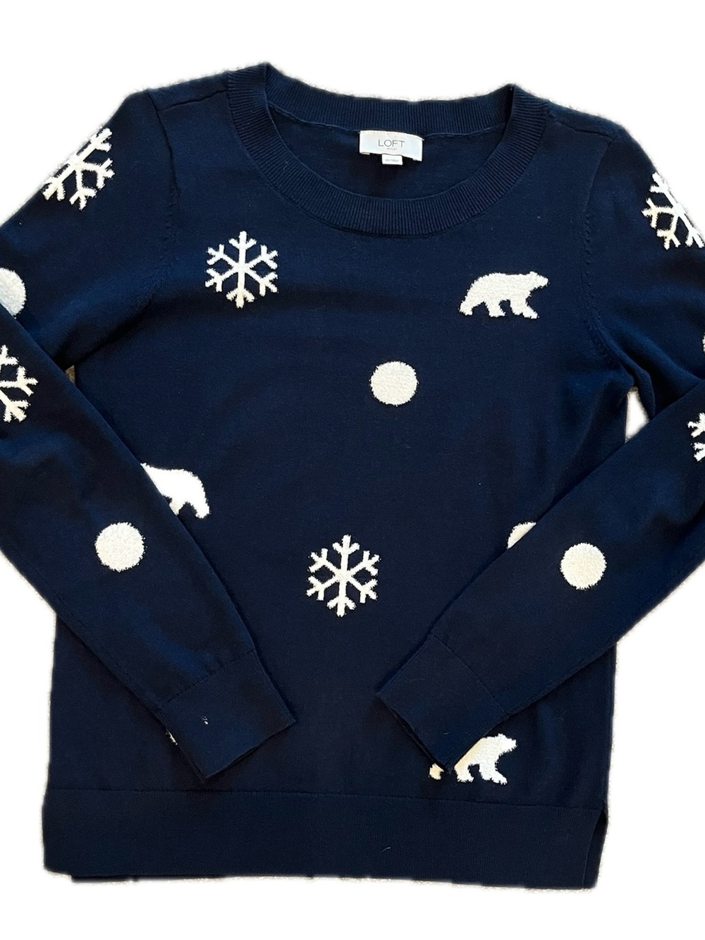 Polar Bear & Snowflake NAVY Sweater LOFT
